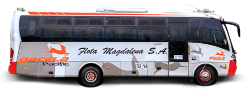 gacela pacific